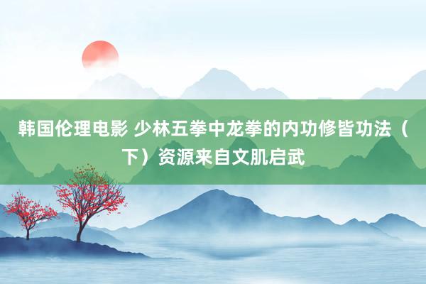 韩国伦理电影 少林五拳中龙拳的内功修皆功法（下）资源来自文肌启武