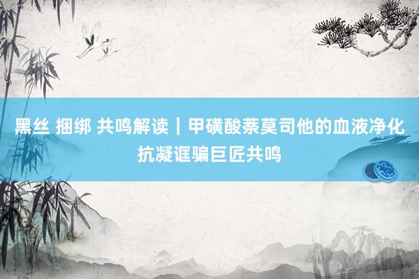 黑丝 捆绑 共鸣解读｜甲磺酸萘莫司他的血液净化抗凝诓骗巨匠共鸣