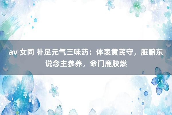 av 女同 补足元气三味药：体表黄芪守，脏腑东说念主参养，命门鹿胶燃
